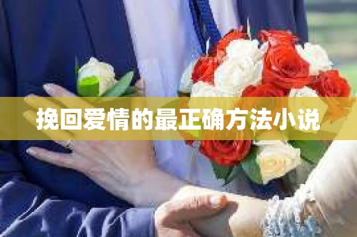 挽回爱情的最正确方法小说