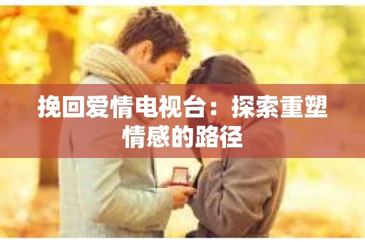 挽回爱情电视台：探索重塑情感的路径