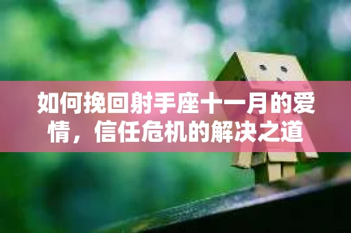 如何挽回射手座十一月的爱情，信任危机的解决之道