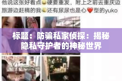 标题：防骗私家侦探：揭秘隐私守护者的神秘世界