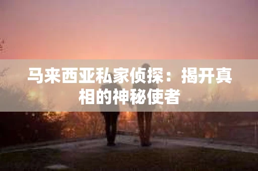 马来西亚私家侦探：揭开真相的神秘使者