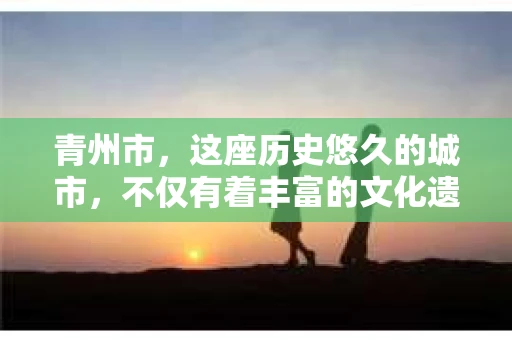 青州市，这座历史悠久的城市，不仅有着丰富的文化遗产，也有着现代生活的便捷。那么，问题来了——青州市有私家侦探公司吗？这个问题，对于需要侦探服务的人来说，无疑至关重要。接下来，我就来为大家揭开这个谜底。