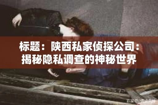 标题：陕西私家侦探公司：揭秘隐私调查的神秘世界