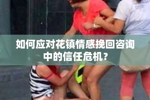 如何应对花镇情感挽回咨询中的信任危机？