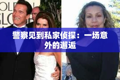 警察见到私家侦探：一场意外的邂逅