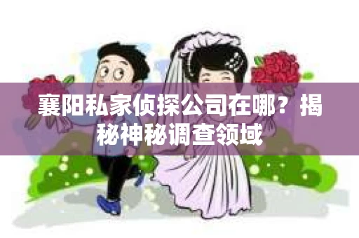 襄阳私家侦探公司在哪？揭秘神秘调查领域