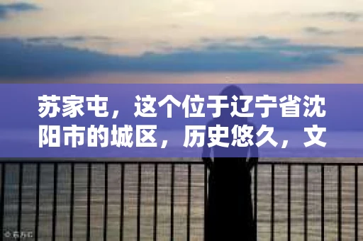 苏家屯，这个位于辽宁省沈阳市的城区，历史悠久，文化底蕴深厚。近年来，随着社会的发展，人们对于私家侦探的需求也逐渐增加。那么，苏家屯有私家侦探吗？今天，我们就来聊聊这个话题。