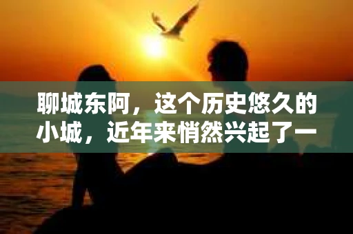 聊城东阿，这个历史悠久的小城，近年来悄然兴起了一股新的服务潮流——私家侦探。今天，我们就来聊聊这个话题，看看在聊城东阿，私家侦探是如何成为人们生活中的一部分的。