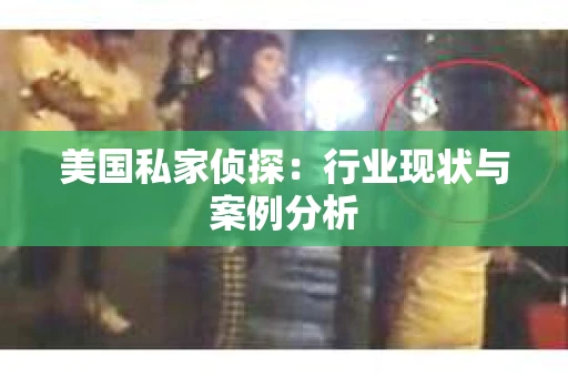 美国私家侦探：行业现状与案例分析