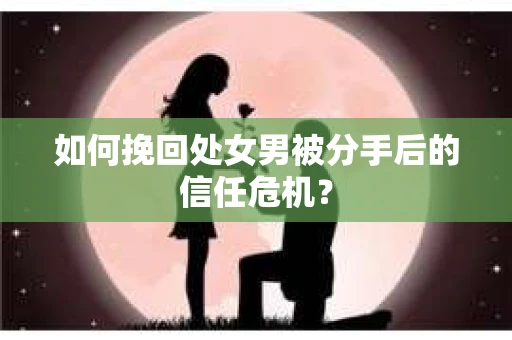 如何挽回处女男被分手后的信任危机? 如何挽回处女男被分手后的信任危机?