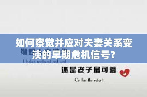 如何察觉并应对夫妻关系变淡的早期危机信号？