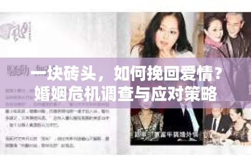 一块砖头，如何挽回爱情？婚姻危机调查与应对策略