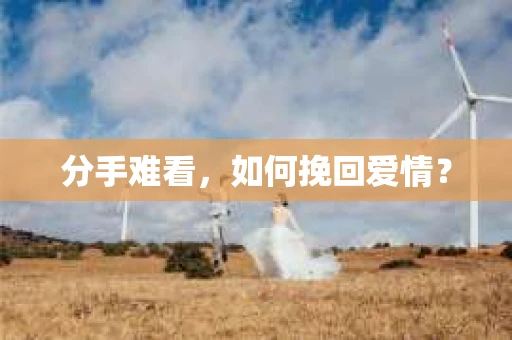 分手难看，如何挽回爱情？